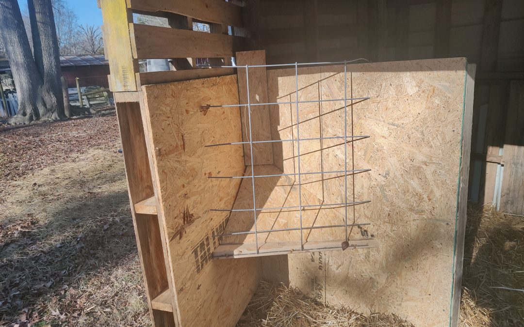 New Feeder