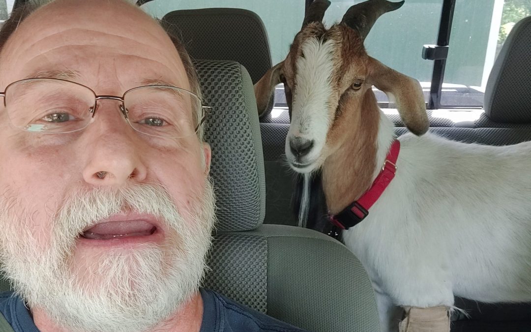 Ride to the Vet