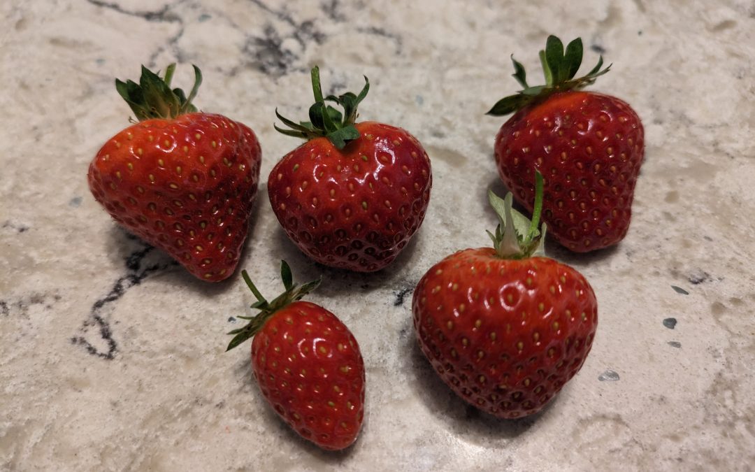 First Fruit